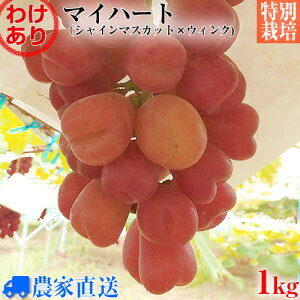 y󂠂z󏭕i }Cn[g wn[g^̐VԂǂxuEBNv×uVC}XJbgvȂԂǂ_ƒ 1kg ʂ蔄y_zyʍ͔|zyƒpzyƖpzy