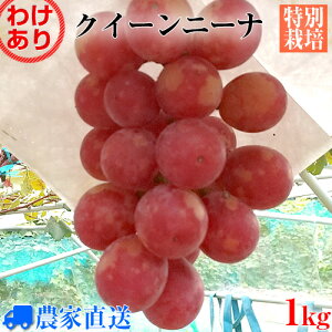 y󂠂z󏭕i NC[j[i Ȃ Ԃǂ _ƒ 1kg ʂ蔄 uhEy_zyʍ͔|zyƒpzyƖpzy󏭕izyԃuhEz
