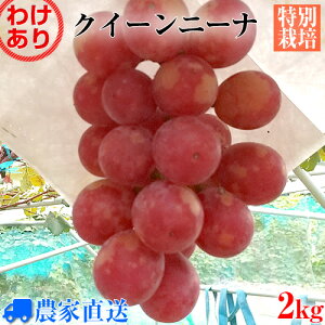 yzy󂠂z󏭕i NC[j[i Ȃ Ԃǂ _ƒ 2kg ʂ蔄 uhEy_zyʍ͔|zyƒpzyƖpzy󏭕izyԃuhEz