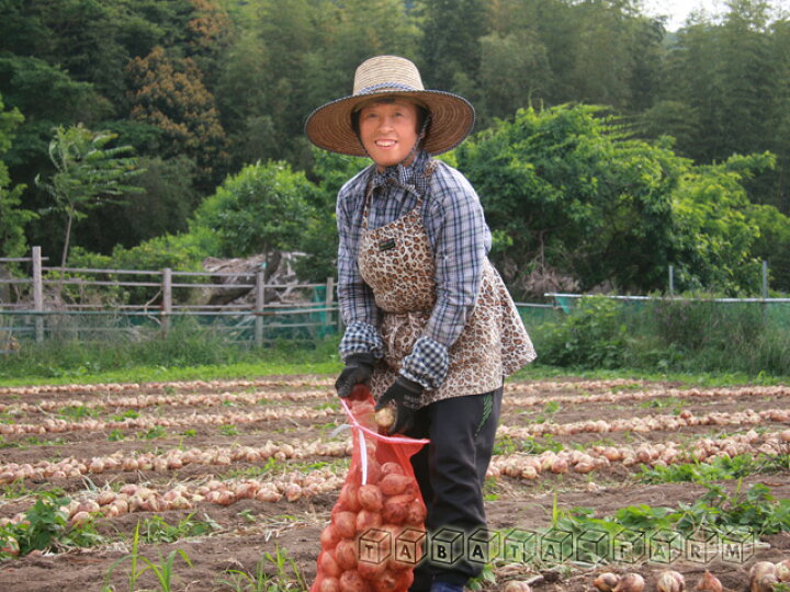 63%以上節約 農家直送 新玉ねぎ 約20kg 訳あり www.anavara.com 63%以上節約 農家直送 新玉ねぎ 約20kg 訳あり www.anavara.com