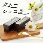 バレンタイン 2021 チョコ チョコレート プチギフト 義理チョコ バレンタインデー 本命 個包装 ギフト 送料無料 プレゼント スイーツ ケーキ お返し かわいい ラッピング おしゃれ 洋菓子 誕生日 バースデー ガトーショコラ（270g）国産 業務用 家庭用 お歳暮 寒中見舞い
