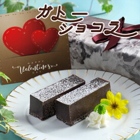 バレンタイン スイーツ チョコ 送料無料 2026 ガトーショコラ 予約 ギフト おしゃれ チョコレート 誕生日ケーキ 予約 大人 個包装 誕生日 プレゼント バレンタイン ラッピング 本命