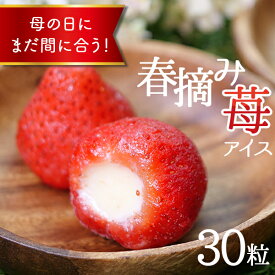 母の日 プレゼント 食べ物 スイーツ ギフト 食べ物 アイス 花以外 子供の日 春 いちご お祝いギフト 女性 入学祝 苺 お菓子 子供 かわいい 内祝い バースデー 女性 誕生日プレゼント 可愛い 春摘み苺アイス 30粒 イチゴアイス 送料無料