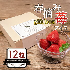 いちご アイスクリーム ギフト スイーツ ホワイトデー いちごアイス ギフト 贈答用 化粧箱 アイス 送料無料 本命 チョコ以外 詰め合わせ プレゼント 誕生日 2026 楽天 デザート プチギフト あす楽 個包装 御祝い 練乳苺 贈り物 出産内祝 ギフトボックス 12粒