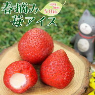 いちご スイーツ ギフト 送料無料 ホワイトデー お返し 2026 苺 誕生日 プレゼント いちごアイス 楽天 苺…