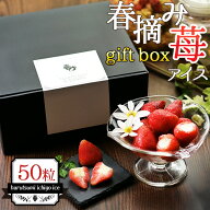 母の日 スイーツ 2026 母の日ギフト いちご ギフト 贈答用 化粧箱 いちごアイス アイスギフトセット 春摘…