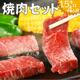 楽天市場 お肉 5キロセット バーベキューの通販