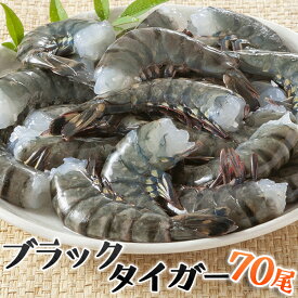 えび エビ 海老 ブラックタイガー 殻付海老無頭 10cm 約70尾 1800g 冷凍食品 冷凍食品 居酒屋 レストラン 食堂 お弁当屋さん カラオケ店 学園祭 移動販売 模擬店 ゴルフ場 お弁当のおかず 夕食 ランチ 昼食 パーティー 食堂