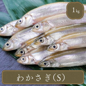 ⓀJTM 1kg STCY 8`10cm Ⓚ JTM 킩 Hו VՂ tC ؒЂ