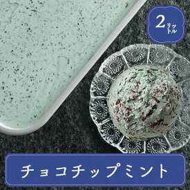 ロッテ アイス 業務用 業務用アイス チョコミント 2L スイーツ おやつ デザート イベント パーティー バザー 屋台 大量注文 バルクアイス 子供 孫の日 運動会 学園祭 ブライダル ハロウィン