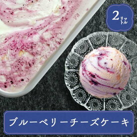 ロッテ アイス 業務用 スイーツ アイス 業務用アイス ブルーベリーチーズケーキ 2L スイーツ おやつ デザート イベント チーズケーキ パーティー バザー 屋台 大量注文 バルクアイス 子供 孫の日 運動会 学園祭 ブライダル ハロウィン ブルーベリー