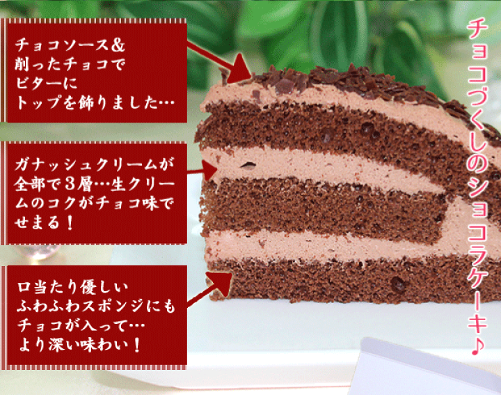 楽天市場】パーティー バイキング チョコケーキ 30g 6個 業務用 家庭用 国産 食べ物 : F・Bクリエイト 楽天市場】パーティー バイキング チョコケーキ 30g 6個 業務用 家庭用 国産 食べ物 : F・Bクリエイト