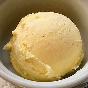 バニラビーンズ アイスクリームの人気商品 通販 価格比較 価格 Com