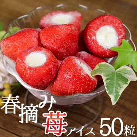 いちごアイス 誕生日 プレゼント バレンタイン 練乳 いちごアイス いちご 子供 オシャレ 出産内祝 可愛い イチゴ 子供会 学校 お菓子 春摘み苺アイス 50粒入り 業務用 家庭用
