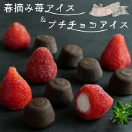 敬老の日 ギフト アイス 2026 スイーツ いちご アイスクリーム お菓子 アイスギフトセット 春摘み苺アイ…