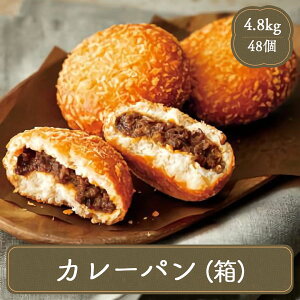 J[p {H p Ⓚ p y؃p y1100g× 48z  ⓀHi  Xg H ٓ JIPX w ړ̔ ͋[X St ٓ̂ 