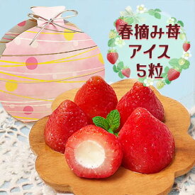 お中元 アイス いちごアイス ギフト 夏ギフト いちご 送料無料 暑中御見舞い スイーツ 誕生日 2025 楽天 プチギフト あす楽 デザート プレゼント 誕生日 プチギフト 個包装 御祝い 贈り物 出産内祝 お祝 春摘み苺アイス5粒 御中元