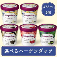 アイス ギフト アイスセット アイスクリーム スイーツ プレゼント お取り寄せ 贈り物 冷凍 送料無料 473m…