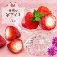 母の日 ギフト 送料無料 2026 いちご 冷凍 苺アイス 15粒 春摘みいちご お取り寄せ 練乳風味 贈答用 アイ…