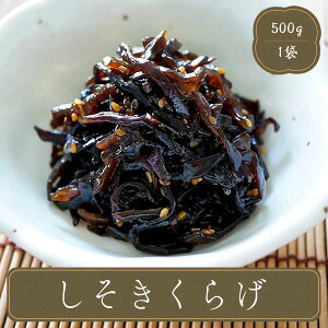 炰 ώ y500gώρE炰zٓ ٓ Hi H  y Ɩp ƒp т̂ Y Hו