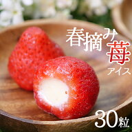 父の日 アイス お中元 送料無料 冷凍 御中元 ギフト 2026 いちご プレゼント 春摘みいちご 冷凍スイーツ …