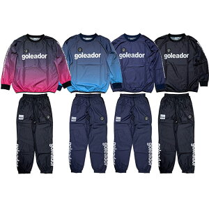 ゴレアドール ピステ「フットサル 昇華 ベーシック ピステトップ&ベーシック ピステパンツ」(g-2484g-2485)【フットサル ピステ上下セット 用品】