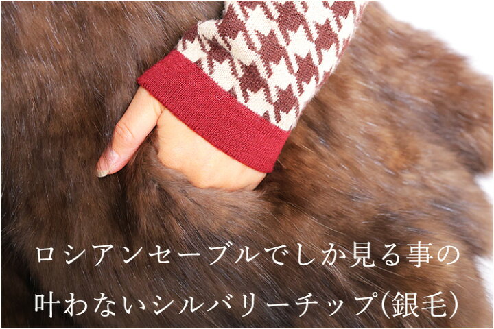 楽天市場】【新品】激安/超人気/ミラション/ロシアンセーブルニッ 
