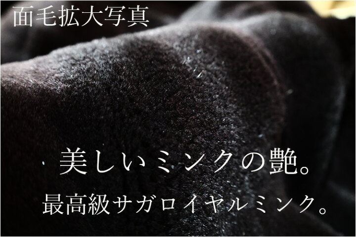楽天市場】【新品】激安/超人気/アージバング/SAGAROYAL/シェアード 