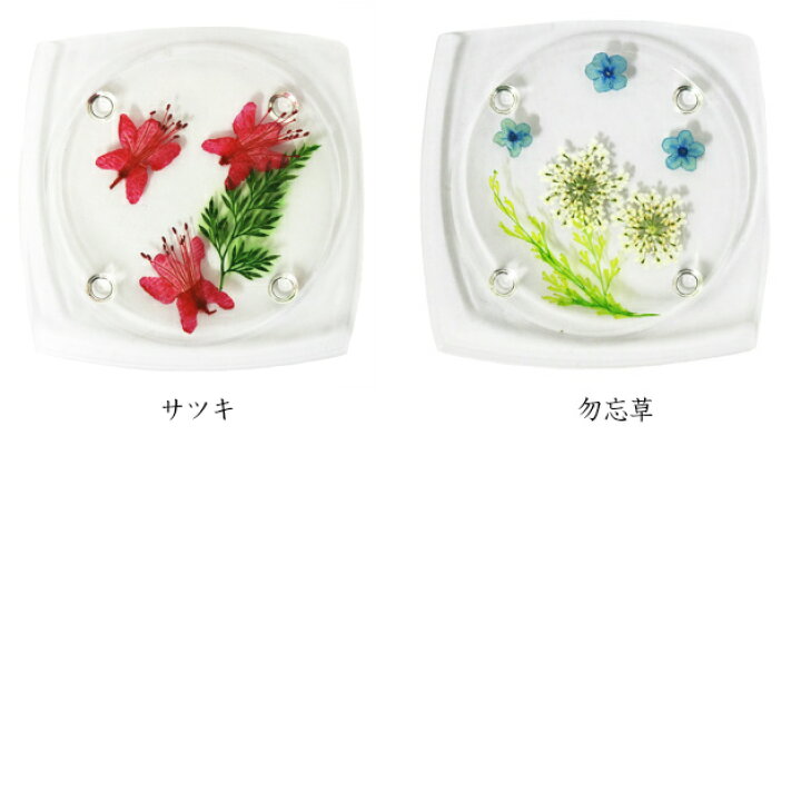 楽天市場 押し花コースター アクリルコースター 花 テーブルウェア フラワー デルフィニウム クローバー バーベナ ヒマワリ コスモス ノースポール 赤バラ 勿忘草 サツキ ffactory 楽天市場 押し花コースター アクリルコースター 花 テーブルウェア フラワー デルフィニウム クローバー バーベナ ヒマワリ コスモス ノースポール 赤バラ 勿忘草 サツキ ffactory