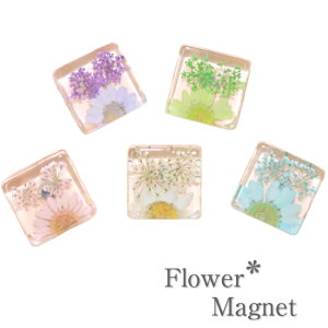 ԃ}Olbg@KX}Olbg@ԁ@t[@e[uEFA@Lb`pi@①Ƀ}Olbg@}Olbg@߁@΁@p[v@sN@zCg@p[v@O[