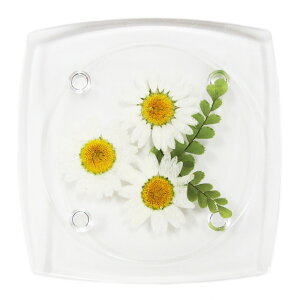 �����ԃR�[�X�^�[�@�A�N�����R�[�X�^�[�@�ԁ@�e�[�u���E�F�A�@�t�����[�@�f���t�B�j�E���@�N���[�o�[�@�o�[�x�i�@�q�}�����@�R�X���X�@�m�[�X�|�[���@�ԃo���@�ܖY���@���݂�