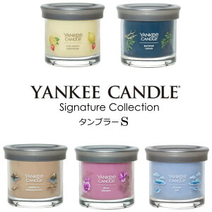 YANKEE CANDLE@VOl`[^u[S@L[Lh@tOXLh@ STCY@SIGNATURE COLLECTION@t^t@LhR[X^[t@A}Lh@낤@L