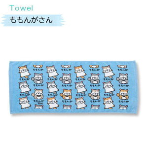 ^I10@TOWEL@fC[^I@tFCX^I@X|[c^I@IN^jR[|[V@肷@X@oj[@ETM@@~[ALbg@Ђ@r