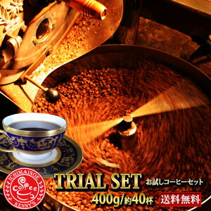 R[q[Zbg400gI[֑p[փMM400gʉi@40t R[q[@@@R[q[@蓤@y[ցz