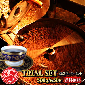500g1840~IIp[փMM500g Ԏi@50t@@R[q[@蓤@y[ցz