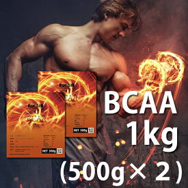 送料無料 BCAA 1kg（500g×2） 国産 無添加 無加工 筋トレ トレーニング ボディメイク ダイエット バルクアップ 野球 アメフト ラグビー 筋肉 トレーニング 筋トレ 10
