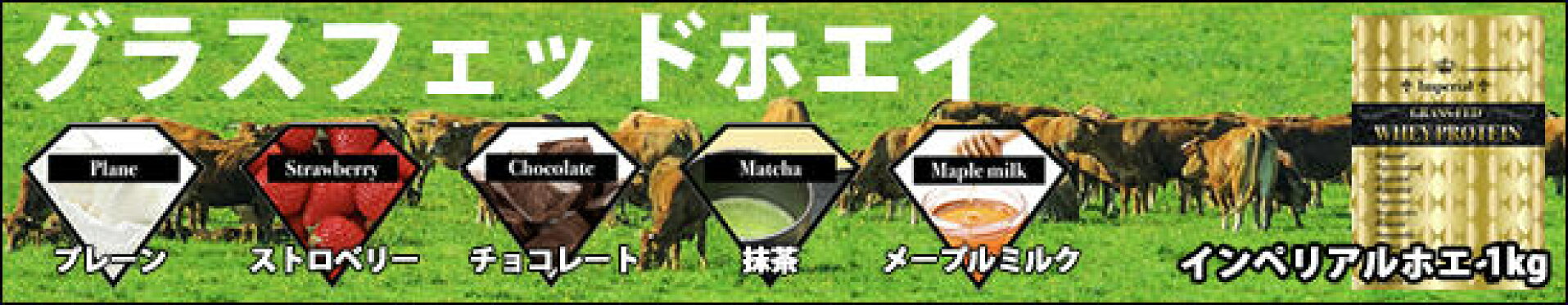 グラスフェッドプロテイン