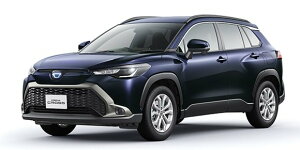 J[NXG11n@ 2021.9` g^ tgKXitgʁjS[XgiI[j@Jbgς݃J[tB