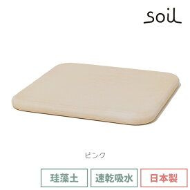 ＼500円OFFクーポン発行中／ soil 日本製 珪藻土 バスマットスクエア B161 幅36cm 【 ソイル 国産 ノンアスベスト 珪藻土バスマット 珪藻土マット バスマット マット 足ふきマット 速乾 吸湿 吸水 無地 良好 濡れない 贈り物 ギフト 新築祝い 結婚祝い 】〈宅配便〉