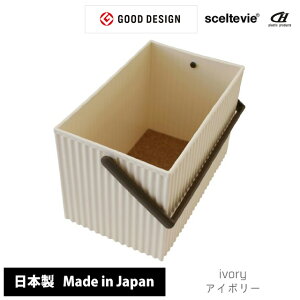 [{bNX  k sceltevie ZeBG IjIbt XJWirA }`L[{bNX M yGXg}[ t nht Lb`[ AEghA r