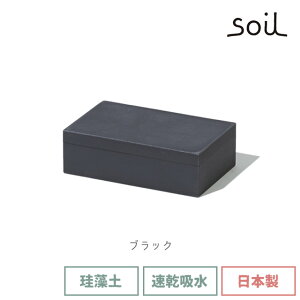 \3000円で5%OFFクーポン/ soil 日本製 珪藻土 HESONOO CASE へその緒ケース 吸湿 調湿 イスルギ 乾燥 ヘソノオ