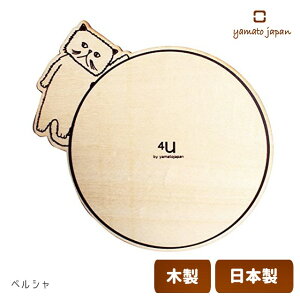}gH| coaster -CATS- R[X^[ y   L ی^ k Ȃ L 菑CXg Y { ؐ zy [֑Ή z