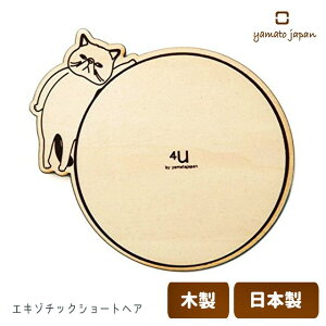 }gH| coaster -CATS- R[X^[ y   L ی^ k Ȃ L 菑CXg Y { ؐ zy [֑Ή z
