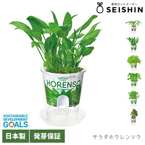 ͔|Lbg  V| Fresh Feel tbVtB[ y ͔|Zbg  K[fjO S ƒ؉ T_ Hׂ n 킢 IV ߂܂er ȒP z