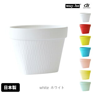 S~ 1L _Xg{bNX  {  AsC e[ugbV{bNX y ܎~ߕt OpR[i[ Lb`] キ 炩f Jt Lb`G