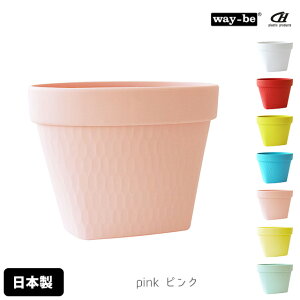 S~ 1L _Xg{bNX  {  AsC e[ugbV{bNX y ܎~ߕt OpR[i[ Lb`] キ 炩f Jt Lb`G