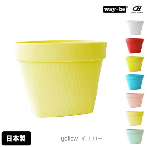 S~ 1L _Xg{bNX  {  AsC e[ugbV{bNX y ܎~ߕt OpR[i[ Lb`] キ 炩f Jt Lb`G