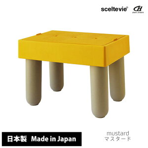 _3000~5%OFFN[|^ Xc[ [   ZeBG XebvtB }`Xebvc[ y ֎q CX `FA  [t ~je[u TChe[u ݑ