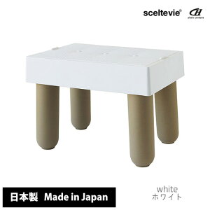 _100~OFFN[|s^ Xc[ [   ZeBG XebvtB }`Xebvc[ y ֎q CX `FA  [t ~je[u TChe[u 