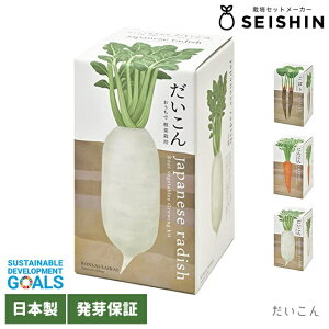 V| ō؍͔|Zbg y ͔|Lbg  ƒ؉ Y[CIIT^f[ T_ lC  | K[fjO CeA R 卪 jW lQ S{E z